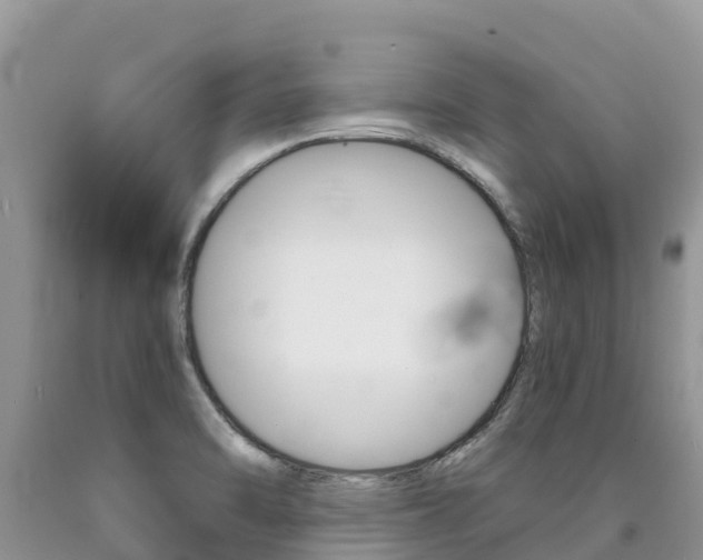X0000090721470200707201003