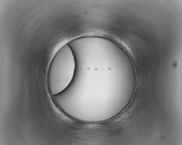 X0000090721471200707201003