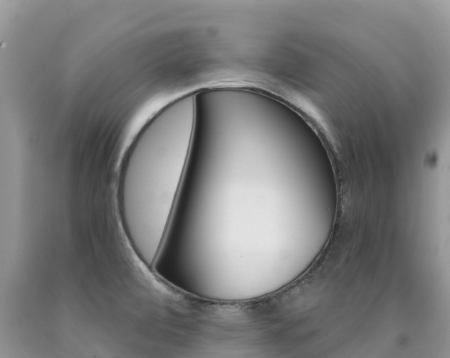 X0000090721472200707201003