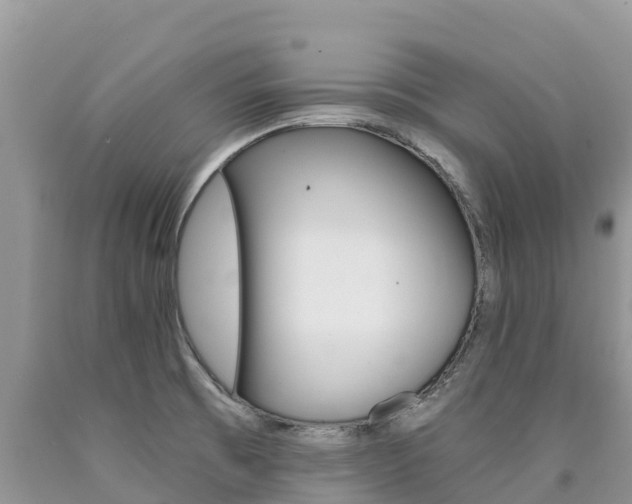 X0000090721473200707201003