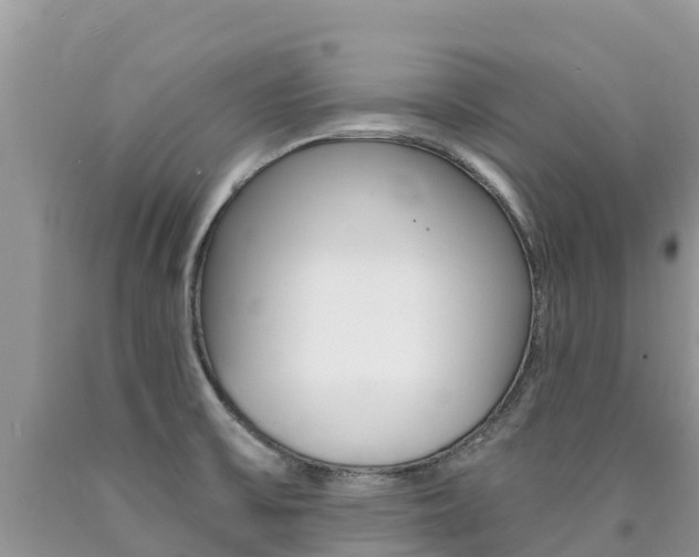 X0000090721475200707201003