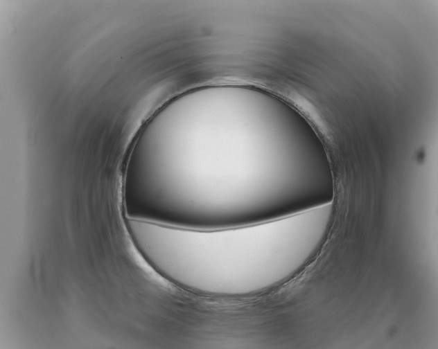 X0000090721476200707201003