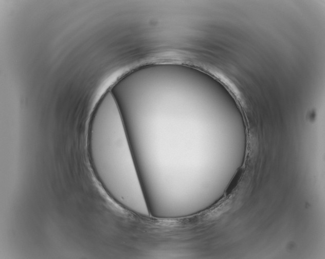 X0000090721477200707201003