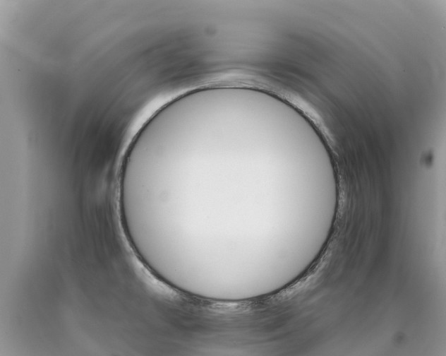 X0000090721478200707201003