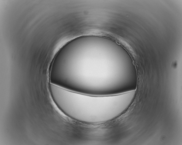 X0000090721479200707201003