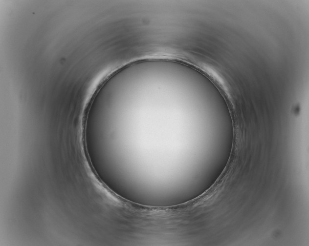 X0000090721480200707201003