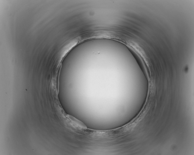 X0000090721481200707201003