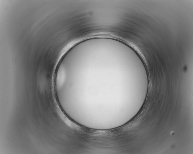 X0000090721482200707201003