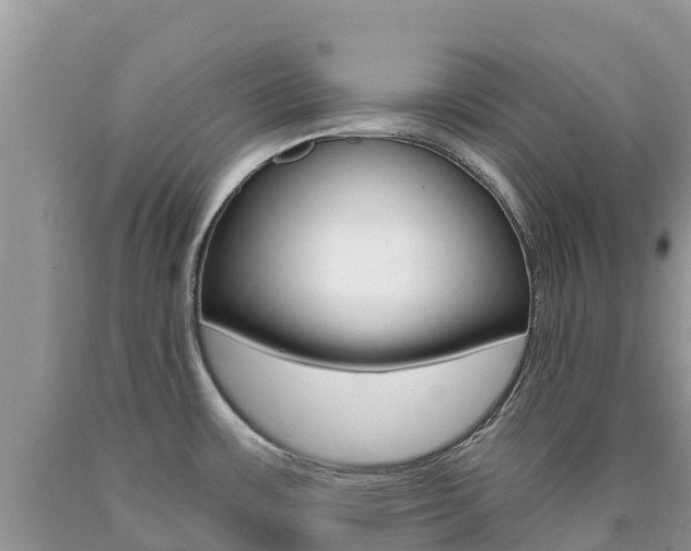 X0000090721483200707201003