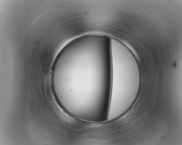 X0000090721484200707201003