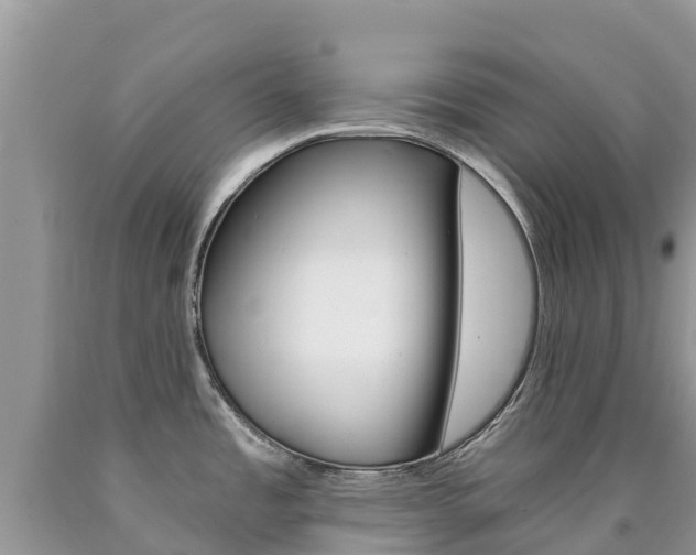 X0000090721485200707201003