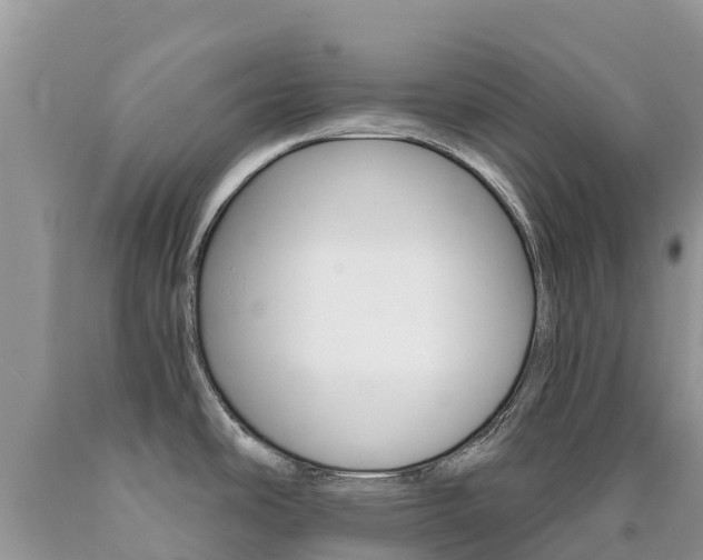 X0000090721486200707201003