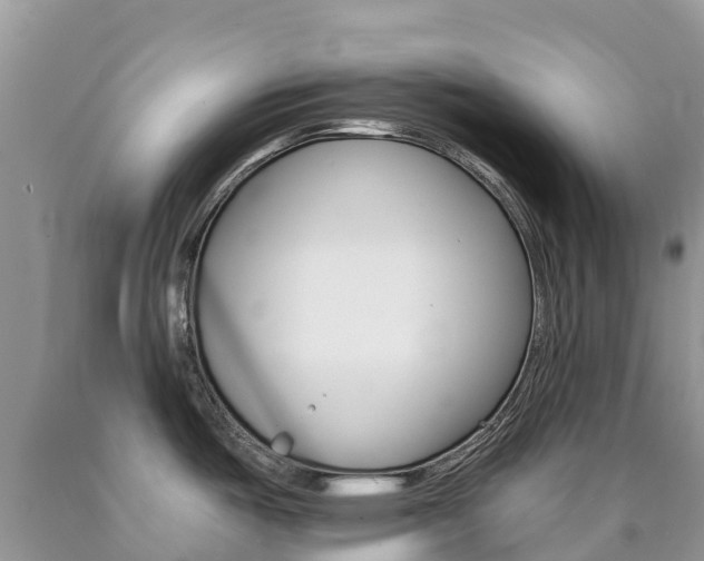X0000090721487200707201003