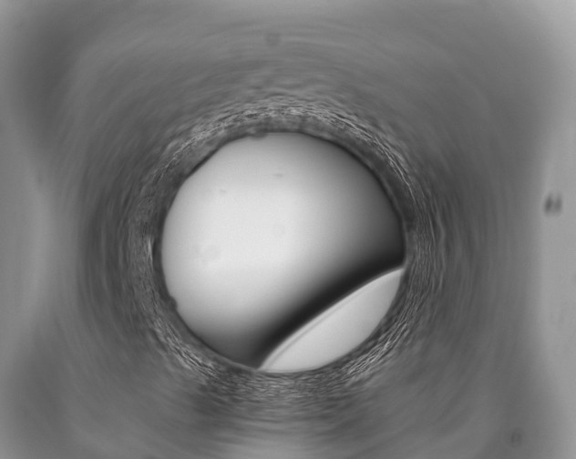 X0000090721489200707201002
