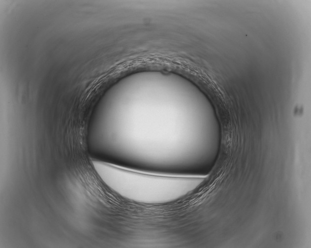 X0000090721490200707201002