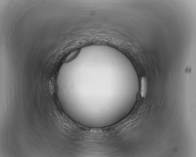X0000090721491200707201002