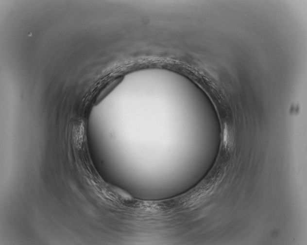 X0000090721492200707201002