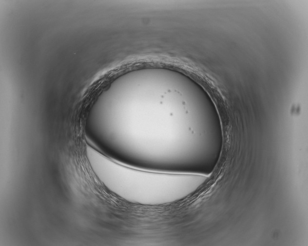 X0000090721494200707201002