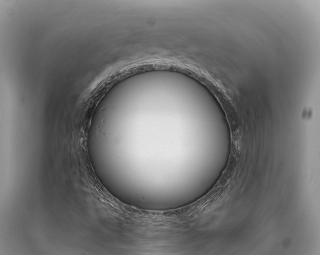 X0000090721495200707201002