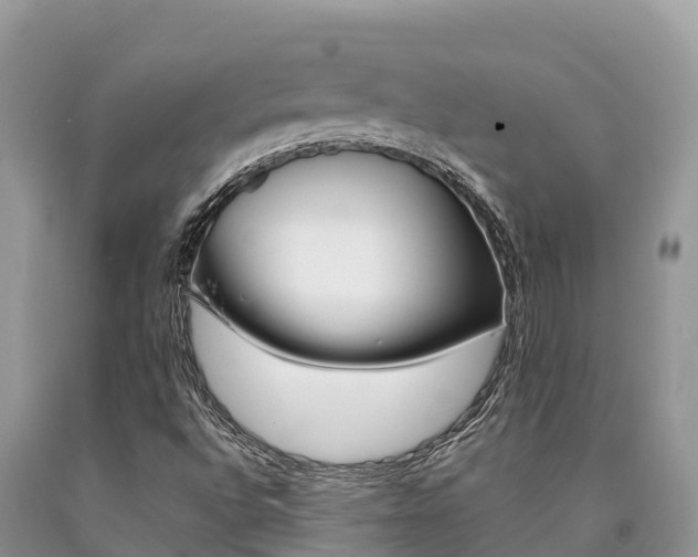 X0000090721496200707201002