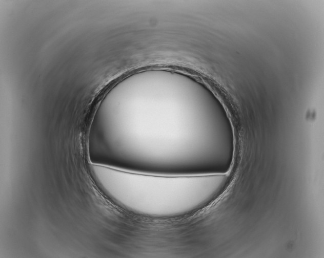 X0000090721497200707201002