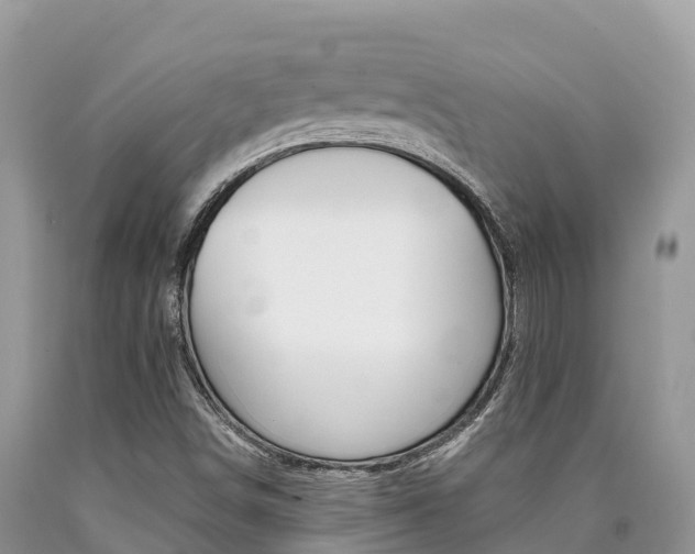 X0000090721498200707201002