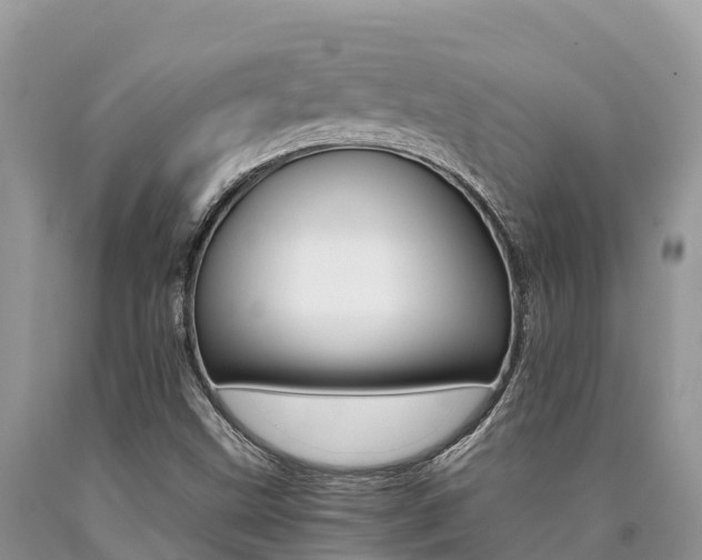X0000090721499200707201002