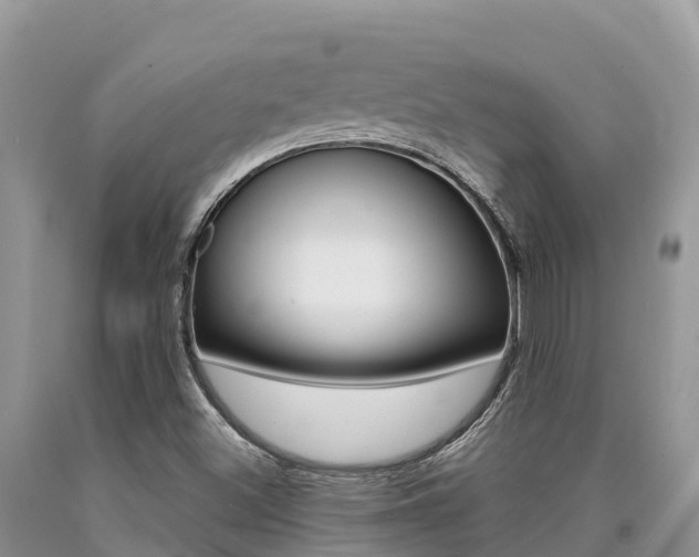 X0000090721500200707201002