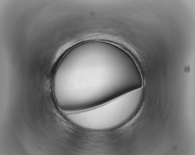X0000090721501200707201002