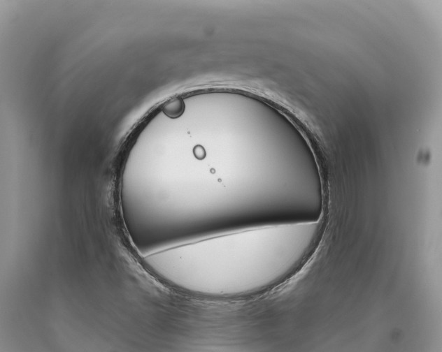 X0000090721502200707201002