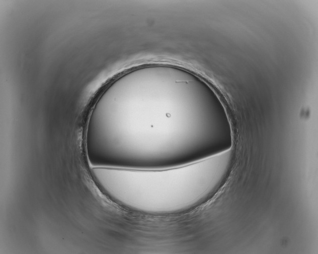 X0000090721503200707201002