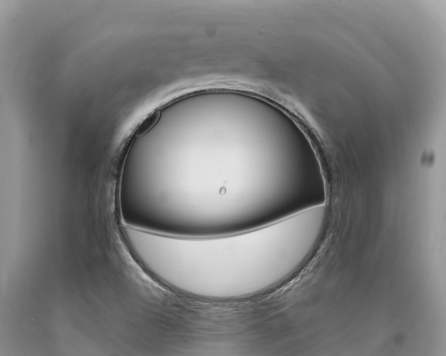 X0000090721504200707201002