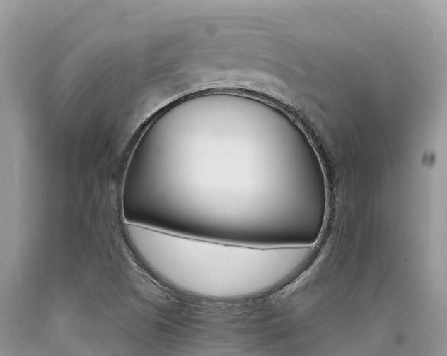 X0000090721505200707201002