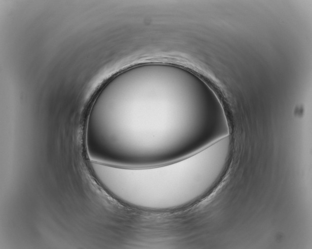 X0000090721506200707201002