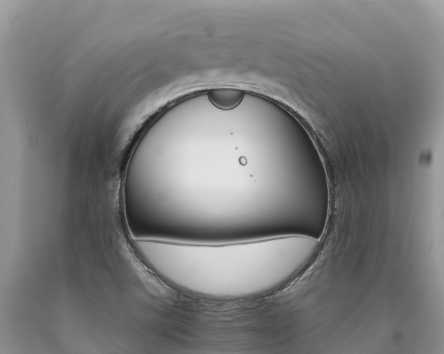 X0000090721507200707201002