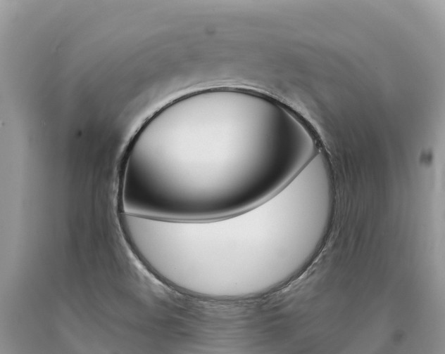 X0000090721508200707201002