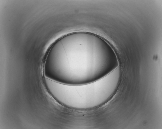 X0000090721510200707201002