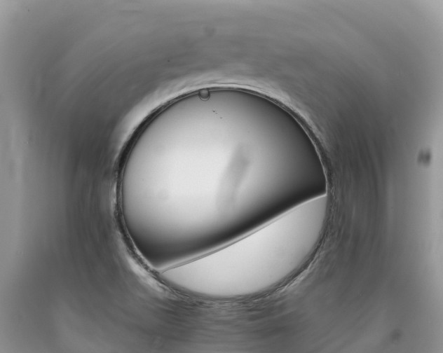 X0000090721511200707201002