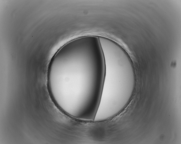 X0000090721512200707201002