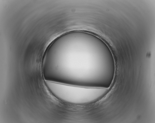 X0000090721513200707201002