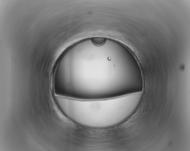 X0000090721515200707201002