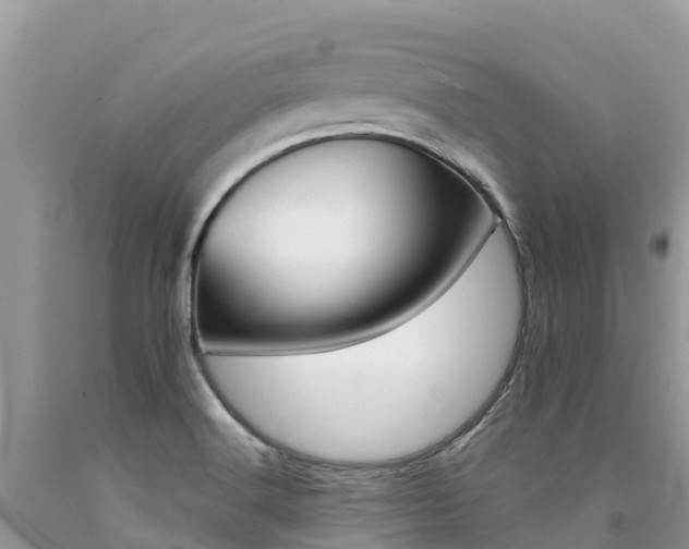 X0000090721516200707201002