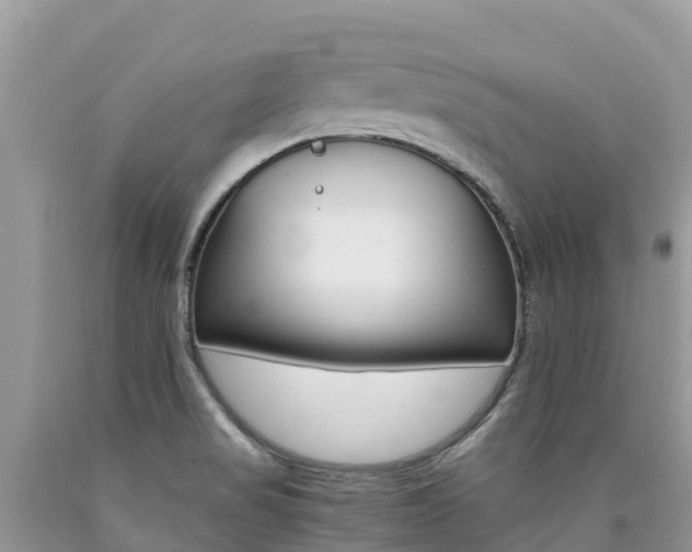 X0000090721517200707201002