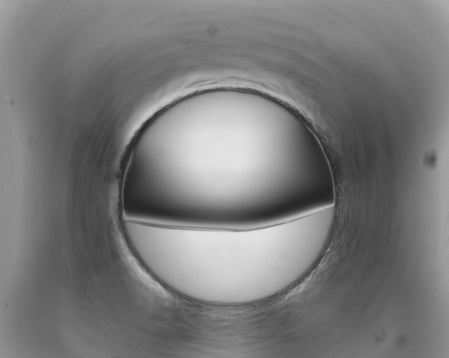 X0000090721518200707201002