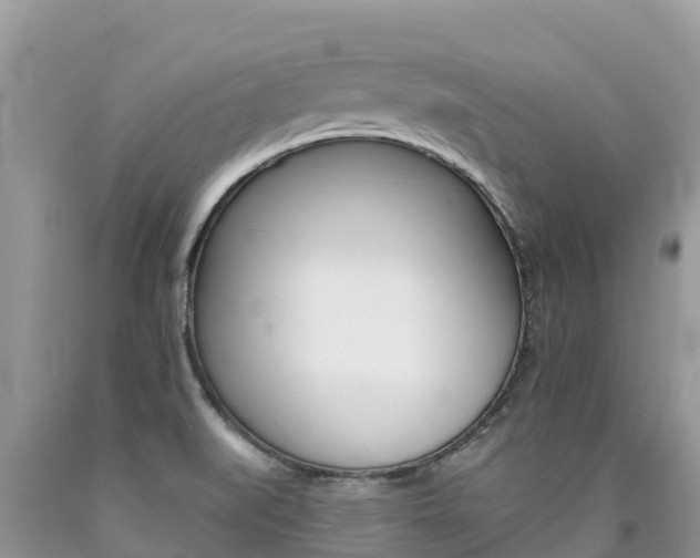 X0000090721519200707201002