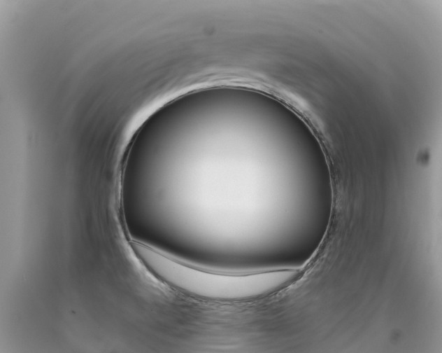 X0000090721520200707201002