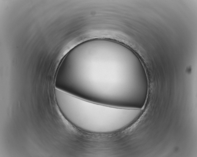 X0000090721521200707201002
