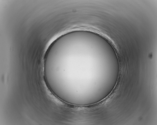 X0000090721522200707201002