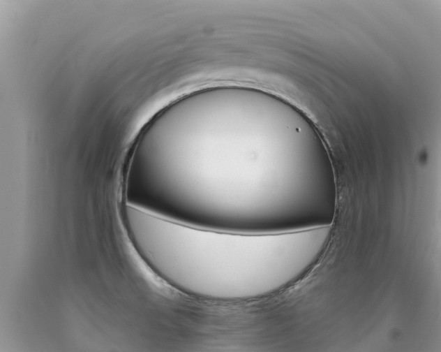 X0000090721523200707201002