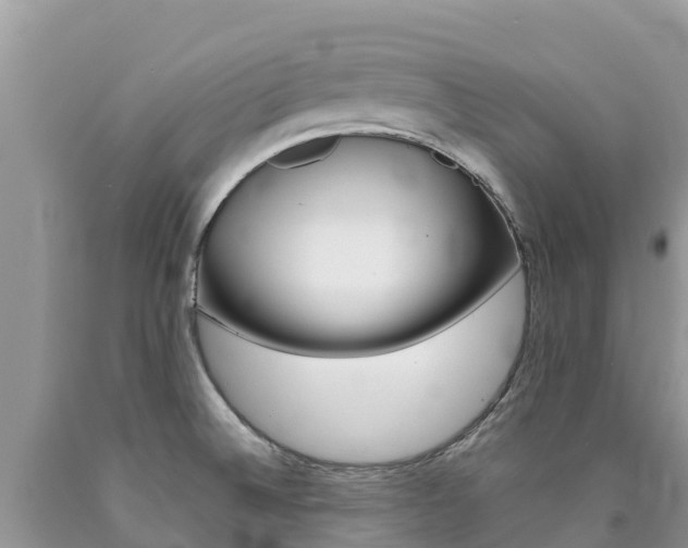 X0000090721524200707201002
